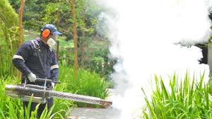 Best Fumigation Services  in Franklin Center, NJ